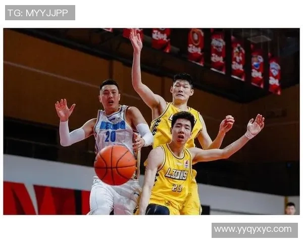 成都篮球队强势领跑精英赛积分榜总分达83分展现冠军实力